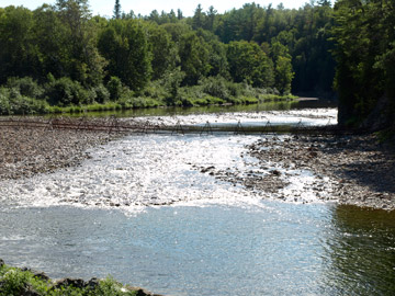 this is a barrier along Jacquet river as part of the salmon restorationin NB