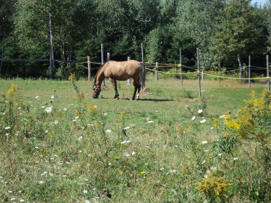 Accommodations Guide Prince Edward Island Cabins Cottages